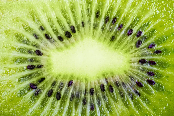 Tropisk frukt — Stockfoto