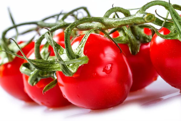 Tomate cereza —  Fotos de Stock