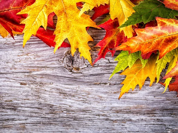 Fond d'automne avec des feuilles d'érable colorées sur une vieille planche de bois — Photo