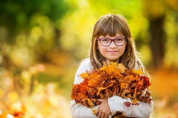 Portret van een jonge mooi meisje die vrolijk met najaar esdoorn bladeren speelde. — Stockfoto