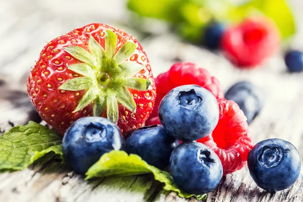 Bleuets, framboises, fraises.Fruits de jardin et de forêt — Photo