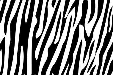 Zebra çizgili seamless modeli.