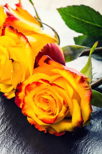 Orange rose. Yellow rose. Several orange roses on Granite background — Stock Photo, Image