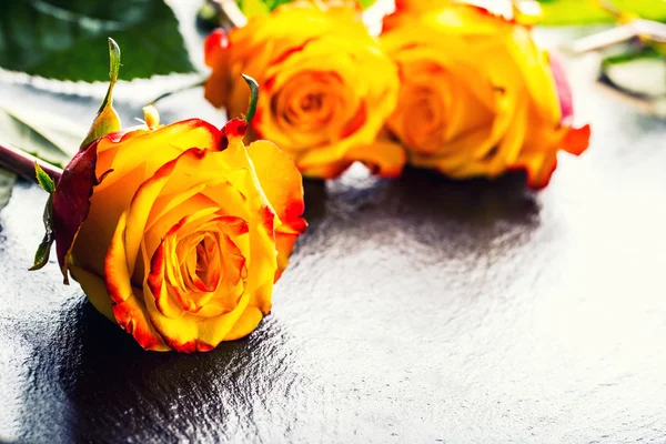 Orange rose. Yellow rose. Several orange roses on Granite background — Stock Photo, Image