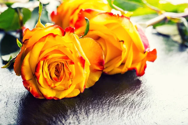 Orange rose. Yellow rose. Several orange roses on Granite background — Stock Photo, Image