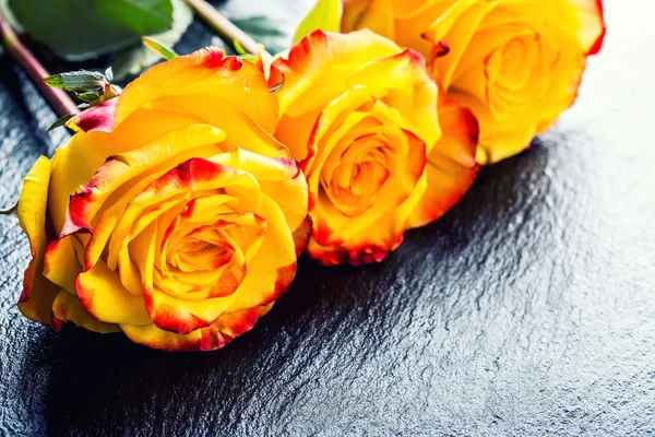 Orange rose. Yellow rose. Several orange roses on Granite background — Stock Photo, Image