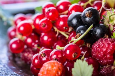 Red currant sponge cake. Plate with Assorted summer berries, raspberries, strawberries, cherries, currants, gooseberries.