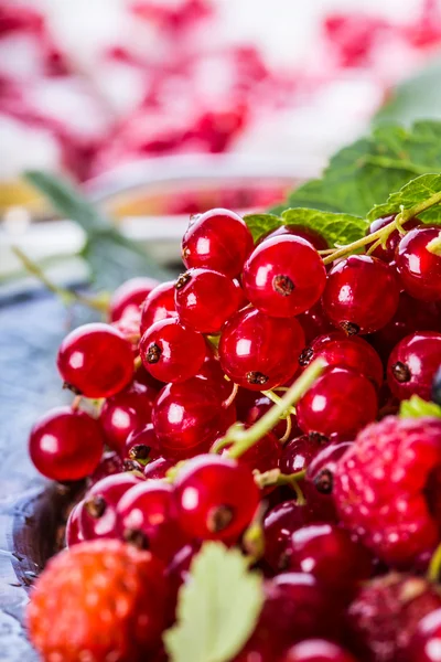 Red currant sponge cake. Plate with Assorted summer berries, raspberries, strawberries, cherries, currants, gooseberries. — 图库照片