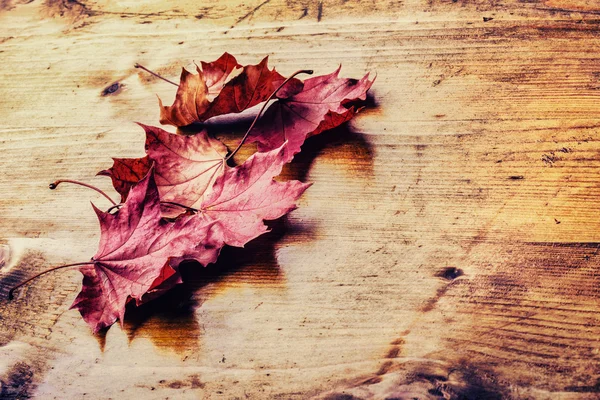Autumn leaves loose on a wooden board. toned photo — Stockfoto