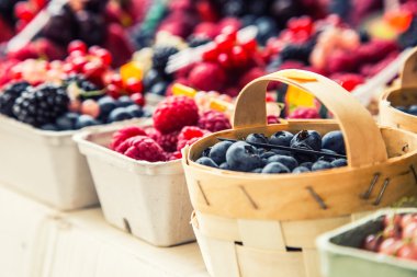 Blueberries, raspberries, strawberries, cherries Forest fruits. Gardening ,agriculture,harvest and forest concept.