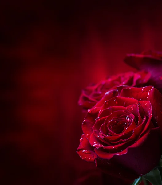 로즈입니다. 빨간 장미입니다. 빨간 장미 꽃다발입니다. 화강암 배경에 여러 장미입니다. 발렌타인 날, 결혼식 날 배경입니다. 장미 꽃잎과 마음 발렌타인 선물 상자입니다. 발렌타인 하 고 결혼식 테두리입니다. 장미 꽃잎에 물 상품 — 스톡 사진