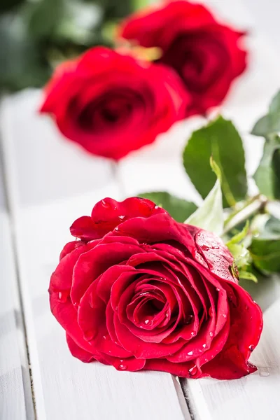 Rose. Κόκκινα τριαντάφυλλα. Μπουκέτο με κόκκινα τριαντάφυλλα. Διάφορα τριαντάφυλλα σε φόντο γρανίτη. Ημέρα του Αγίου Βαλεντίνου, γάμος ημέρα φόντο. Αυξήθηκε πέταλα και καρδιές του Αγίου Βαλεντίνου κουτιά δώρων. Του Αγίου Βαλεντίνου και το γάμο στα σύνορα. Νερά σταγόνες για πέταλα τριαντάφυλλα — Φωτογραφία Αρχείου