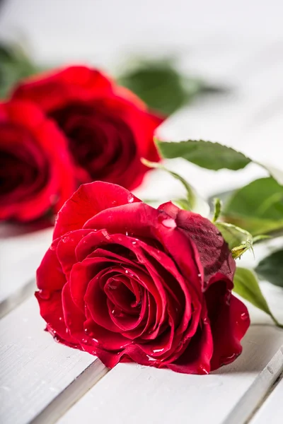 ¡Rose! Rosas rojas. Ramo de rosas rojas. Varias rosas sobre fondo de granito. San Valentín, fondo del día de la boda. pétalos de rosa y corazones cajas de regalo de San Valentín. San Valentín y frontera nupcial. Aguas gotas sobre rosas pétalos — Foto de Stock