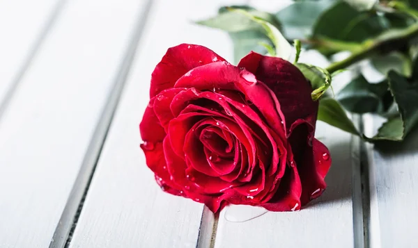 玫瑰。红玫瑰。束红玫瑰。对花岗岩背景的几种玫瑰。情人节那天，婚礼天背景。玫瑰花瓣和心情人节礼品盒。情人节礼物和婚礼边境。水域滴眼液对玫瑰花瓣 — 图库照片