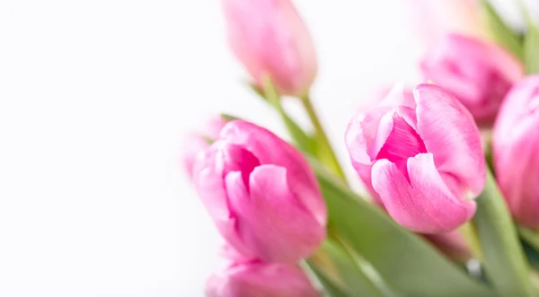 Veselé velikonoce. Tulipány barevné jarní a velikonoční vajíčka. Jarní a velikonoční dekorace. — Stock fotografie