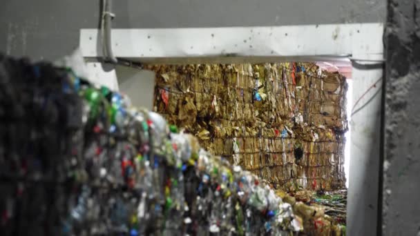 Briketten met geperst afval liggen op de transportband.. — Stockvideo