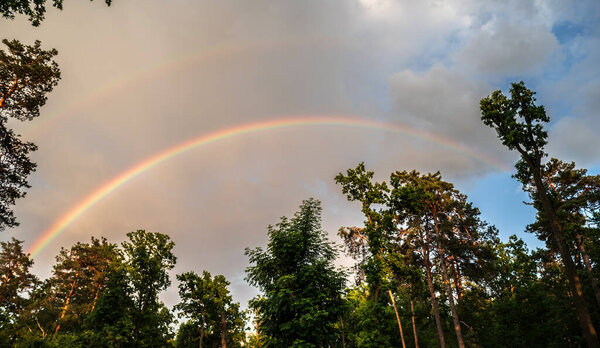 Двойная радуга в небе над лесом. Селективный фокус.