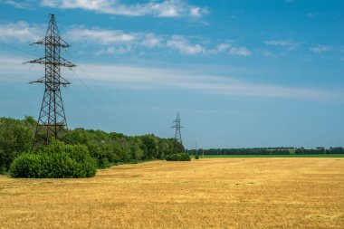 Kesilmiş bir tarlanın kenarındaki ormanın yakınında yüksek voltajlı bir elektrik hattı..