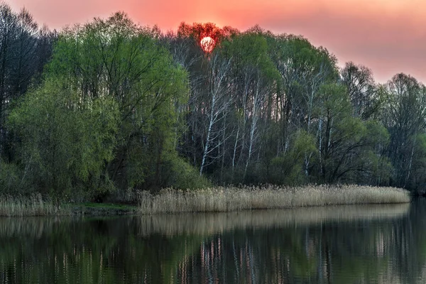 Blood Red Sunset Sun Sets Trees Shore Lake — Stock Photo, Image