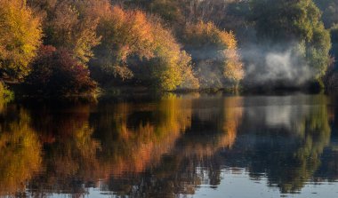 Ormandaki göl. Ağaçlarda sarı ve kırmızı yapraklar olan sonbahar manzarası.