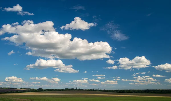 Летний Пейзаж Голубым Небом Белыми Облаками Над Полем — стоковое фото
