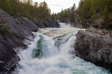 Güçlü dağ nehri dar kayalık bir vadide akıyor. Dokunulmamış doğal bir arazide, temiz suyun hızlı akışı. Seçici odak.