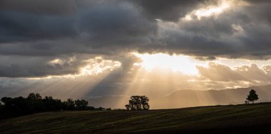 Güneş ışınlarının bulutların arasından geçip bir ağacı aydınlattığı güzel bir gün doğumu. Huzur ve barış kavramı. Arkaplan