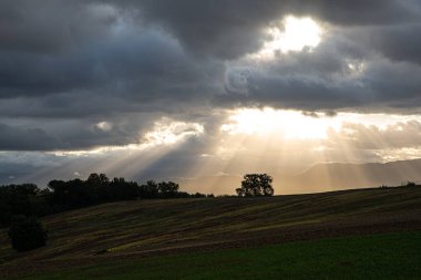 Güneş ışınlarının bulutların arasından geçip bir ağacı aydınlattığı güzel bir gün doğumu. Huzur ve barış kavramı. Arkaplan