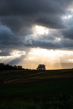Güneş ışınlarının bulutların arasından geçip bir ağacı aydınlattığı güzel bir gün doğumu. Huzur ve barış kavramı. Arkaplan