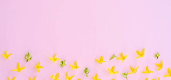 Floral Composition Pattern Made Yellow Forsythia Flowers Pink Background Concept — Fotografia de Stock