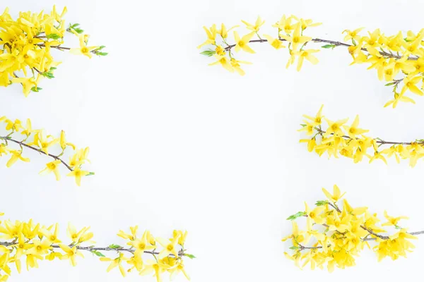 Floral composition. Pattern made of yellow forsythia flowers on a white background. Concept of spring, easter, summer. Flat lay, top view, copy space