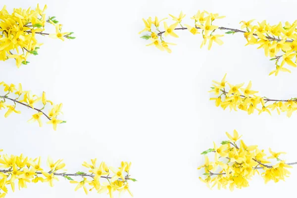Floral Composition Pattern Made Yellow Forsythia Flowers White Background Concept Image En Vente