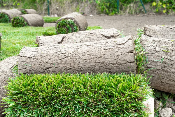 Laying Rolled Lawn — Stock Photo, Image