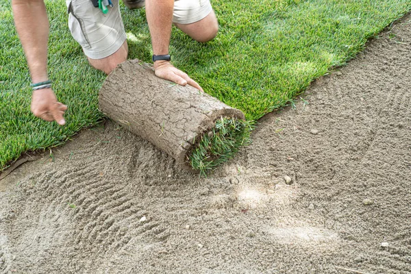 Jardinero Poniendo Césped Para Nuevo Césped Imágenes De Stock Sin Royalties Gratis