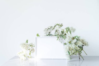 Boş beyaz çerçeve modeli. Şık, eski bir dal çerçeveyi sarıyor. Minimalist ve basit bir dekorasyon. Gün ışığında sakin bir hayat