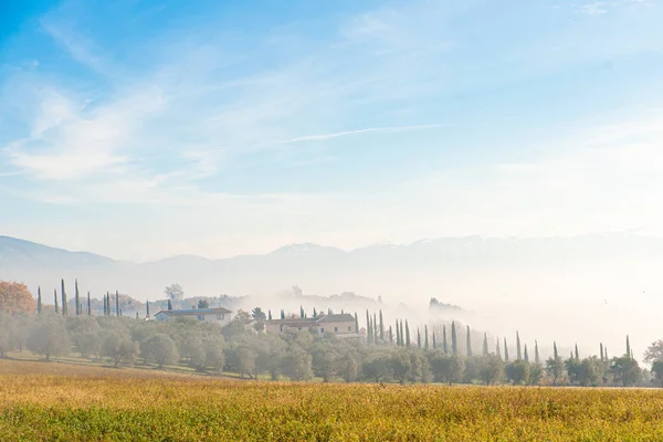 Herbstlandschaft Mit Nebel Der Den Hof Umhüllt — Stockfoto