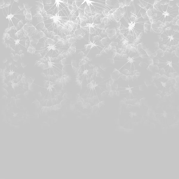 Toile de fond de pissenlits de couleur grise — Image vectorielle