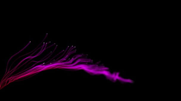 Abstract Optische Vezels Deeltjes Flow Motion Element Zwarte Achtergrond — Stockvideo