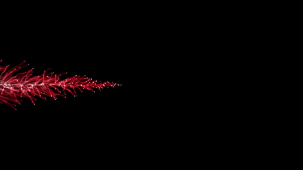 Абстрактні Оптичні Волокна Частинки Потоковий Елемент Руху Над Чорним Тлом — стокове відео
