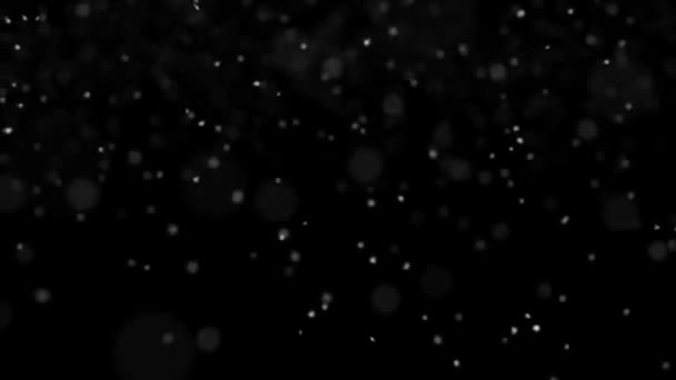 Looped Realistic Falling Snowflakes Background Overlay — Stock Video