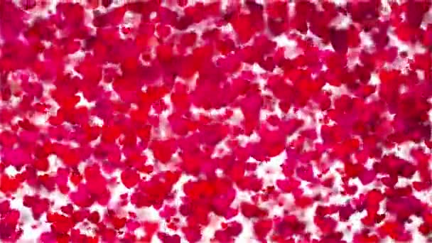 Hintergrundanimation Zum Valentinstag Mit Herzen — Stockvideo