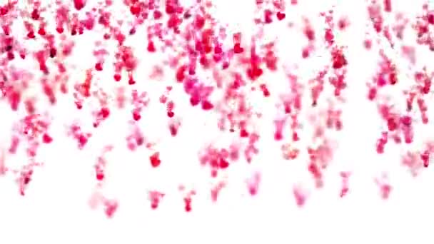 Hintergrundanimation Zum Valentinstag Mit Herzen — Stockvideo