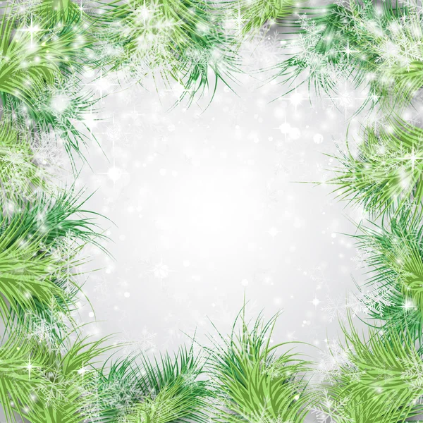 Ramos de árvores de abeto com flocos de neve —  Vetores de Stock