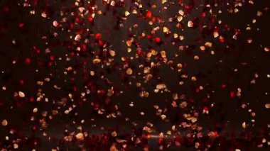 Döngülü Işık Işınları Arkaplanı Sonbahar Yaprakları Zemine Düşen Yapraklar