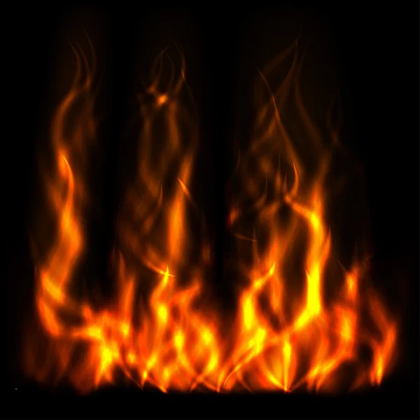 Burning fire flame — Stock Vector