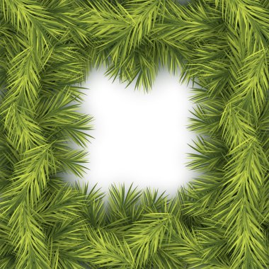 Köknar ağacı çerçeve arka plan