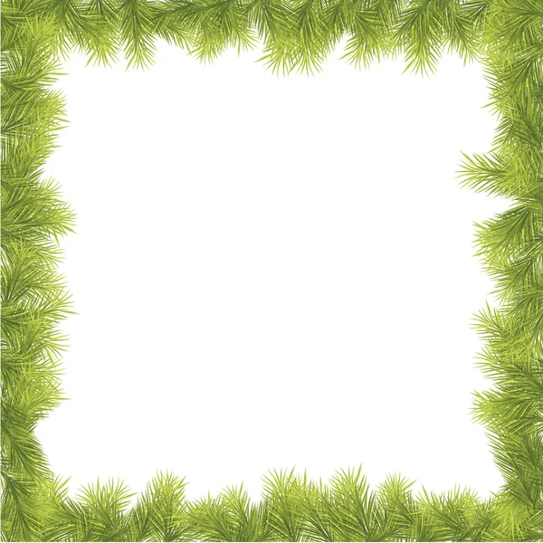 Kerstmis fir tree grenzen — Stockvector