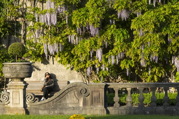 Mirabel garden in Salzburg — Stock Photo, Image