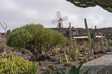 Lanzarote, İspanya - 7 Ağustos 2018: Bulutlu bir günde Lanzarote 'deki ünlü kaktüs bahçesinde gezinmek