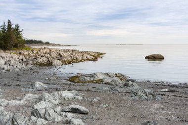 Bir yaz günü Parc National du Bic 'te deniz ve güzel manzaralar arasında gezinmek